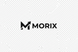 MORIX Logo Lockup Final